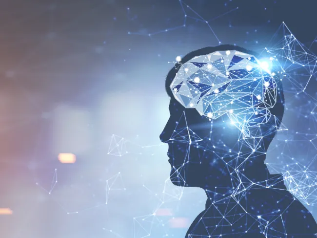 human side profile with brain